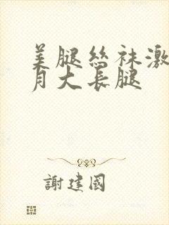 美腿丝袜激情五月大长腿