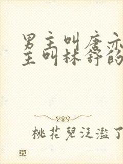 男主叫唐亦琛女主叫林舒的小说