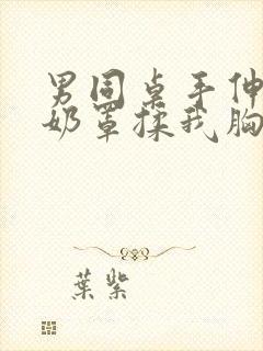 男同桌手伸进我奶罩揉我胸