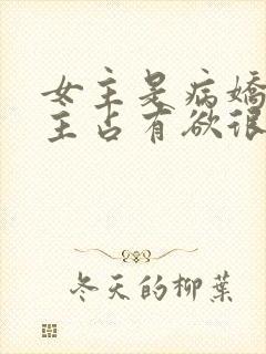 女主是病娇对男主占有欲很强的小说