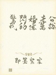 惊闪婚老公竟是我的亿万总裁