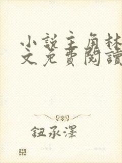 小说主角林枫全文免费阅读