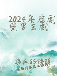 2024年腐剧双男主剧