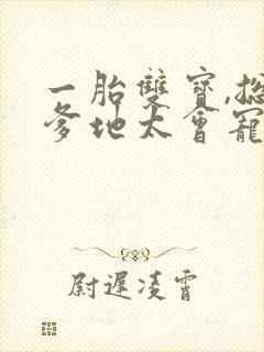 一胎双宝,总裁爹地太会宠