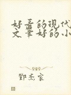 好看的现代言情文笔好的小说