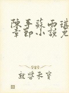 陈平苏雨琪最新章节小说免费阅读