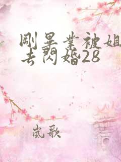 刚毕业被姐姐拉去闪婚28