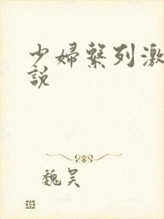 少妇系列激情小说