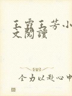 王霞王芳小说全文阅读