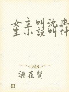 女主叫沈冉的重生小说叫什么