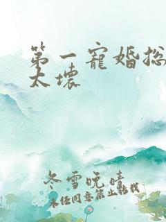 第一宠婚总裁别太坏