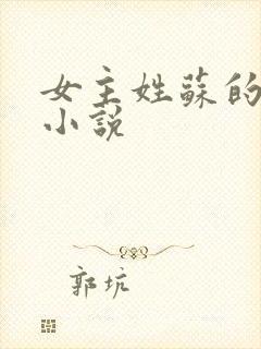 女主姓苏的言情小说