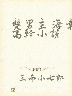 双男主 海棠 高干小说