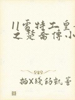 11处特工皇妃之楚乔传小说