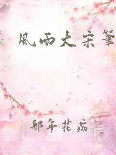 风雨大宋笔趣阁
