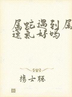 属蛇遇到属兔的运气好吗