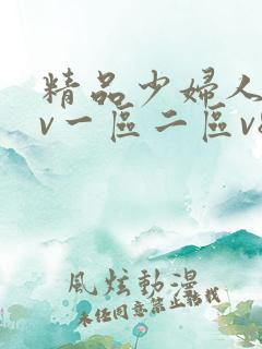 精品少妇人妻av一区二区v8