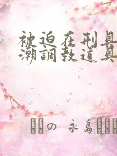 被迫在刑具上高潮调教道具