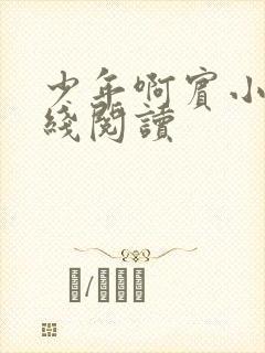 少年啊宾小说在线阅读