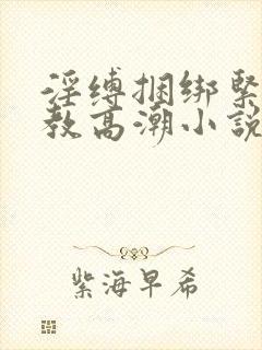 淫缚捆绑紧缚调教高潮小说