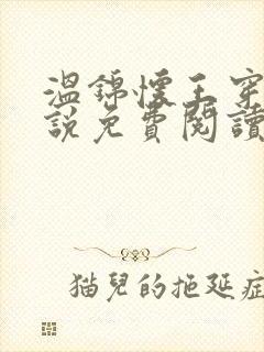 温锦怀王穿越小说免费阅读无弹窗