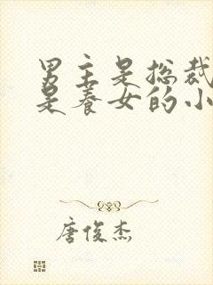 男主是总裁女主是养女的小说