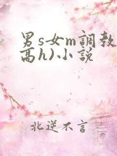 男s女m调教(高h)小说