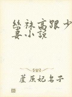 丝袜高跟少妇人妻小说