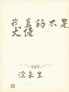 我真的不是反派大佬