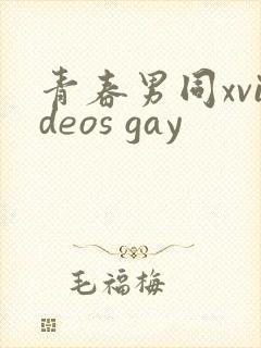 青春男同xvideos gay