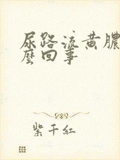 尿路流黄脓是怎么回事