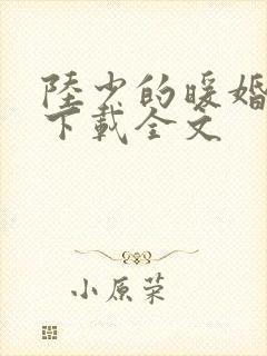 陆少的暖婚新妻下载全文