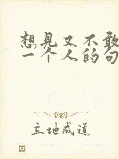 想见又不敢见的一个人的句子