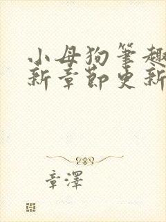 小母狗笔趣阁最新章节更新