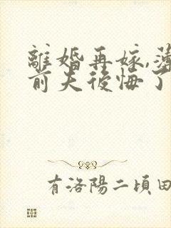 离婚再嫁,薄情前夫后悔了短剧高清