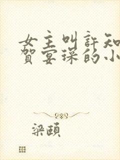 女主叫许知意,贺宴琛的小说