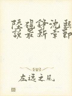 陆砚铮沈熙颂小说最新章节免费阅读