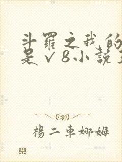 斗罗之我的武魂是√8小说王小欢