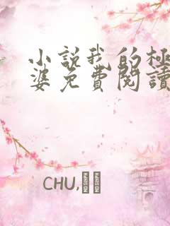 小说我的极品老婆免费阅读全文