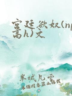 宫廷欲奴(np高h)文