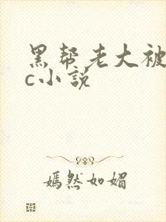 黑帮老大被警察c小说