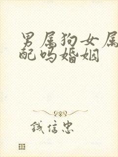 男属狗女属马相配吗婚姻