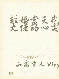 离婚当天我成了大佬的心尖宠主演