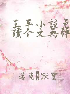 王平小说免费阅读全文无弹窗