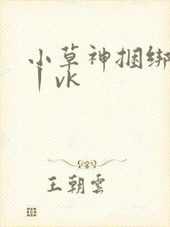 小草神捆绑电击丨vk