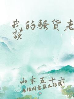 我的骚货老婆小说