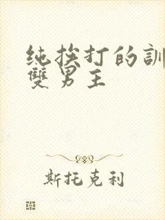 纯挨打的训诫文双男主