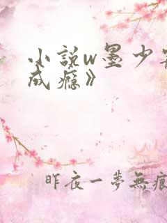 小说w墨少宠妻成瘾》