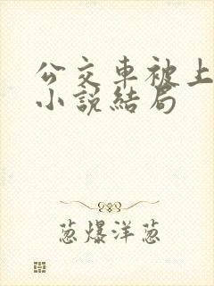 公交车被上高潮小说结局