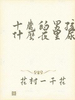 十岁的男孩子为什么夜里尿床